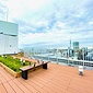 屋上庭園