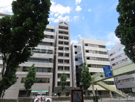 カスタリア新富町Ⅳ 外観