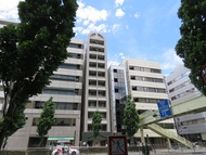 カスタリア新富町Ⅳ 外観