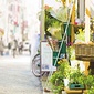 周辺環境（学芸大学の街並み）