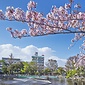 周辺環境（清水池公園）