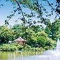 _周辺環境（碑文谷公園）