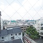 参考写真