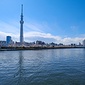 隅田川（春）