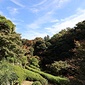 池田山公園