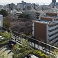 屋上テラス