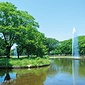 周辺環境（代々木公園）