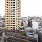 参考写真