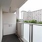 参考写真