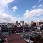 参考写真